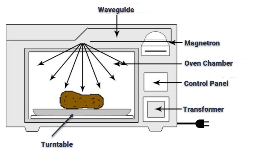 Components of a Microwave Oven